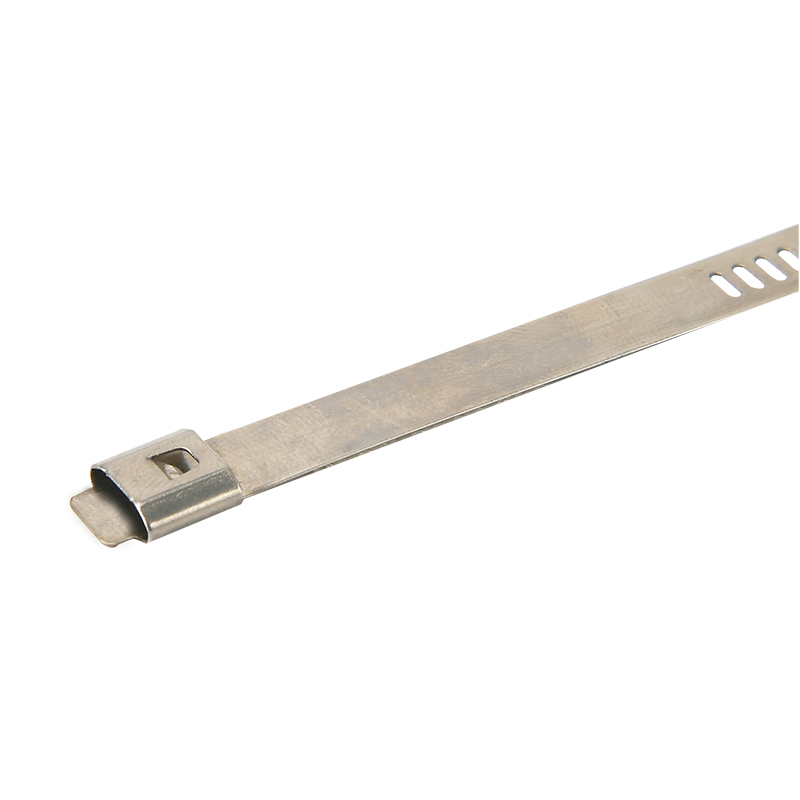 Ladder Cable Tie-single Barb Lock Type