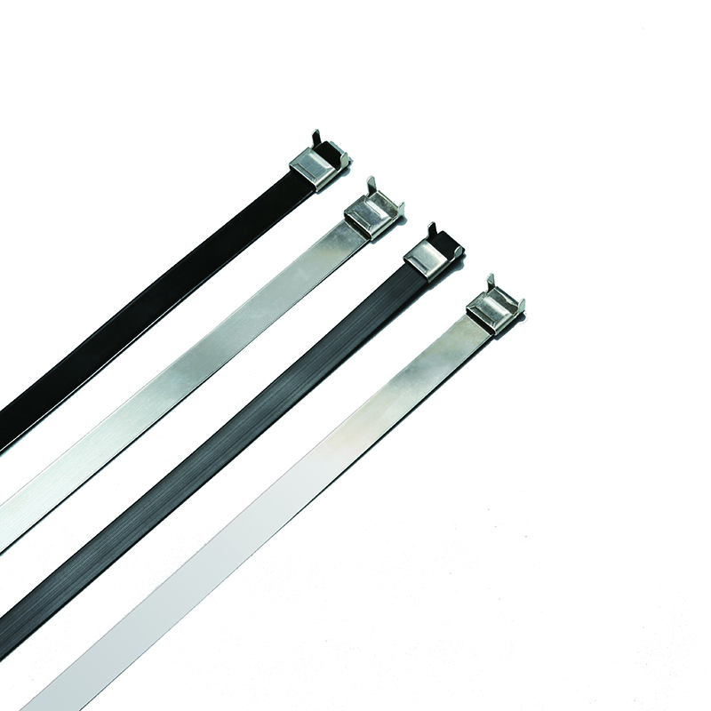 Releaseable SS cable Tie-L type